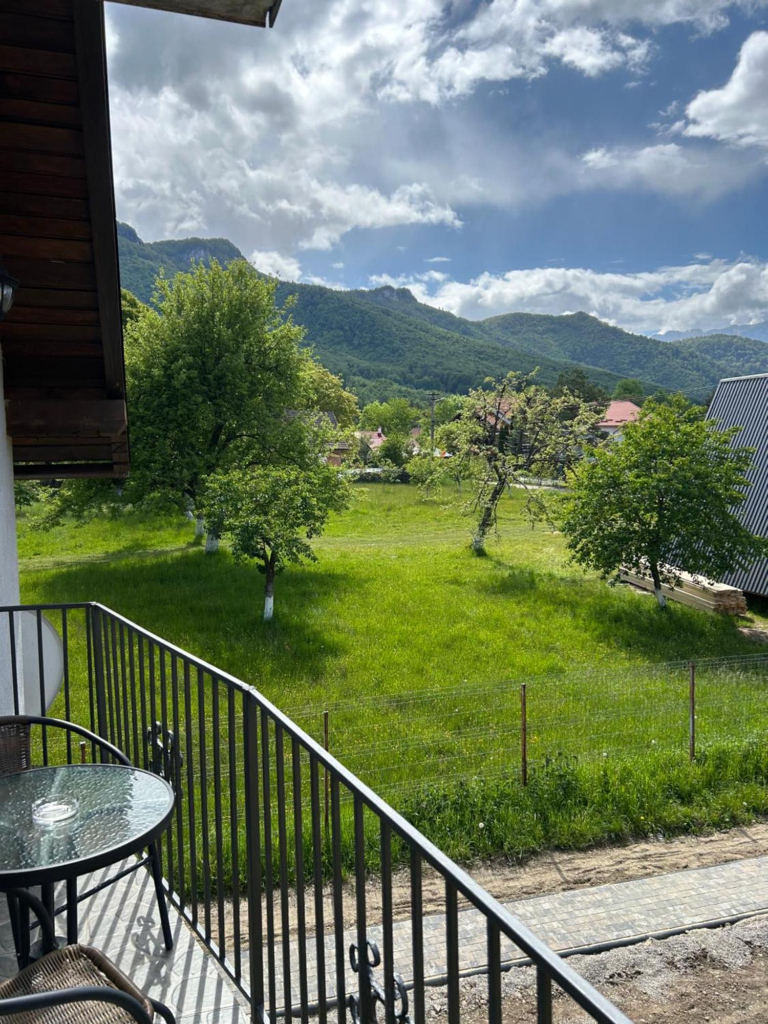 Villa Casa Luca Ama Bran Bran  Exterior foto