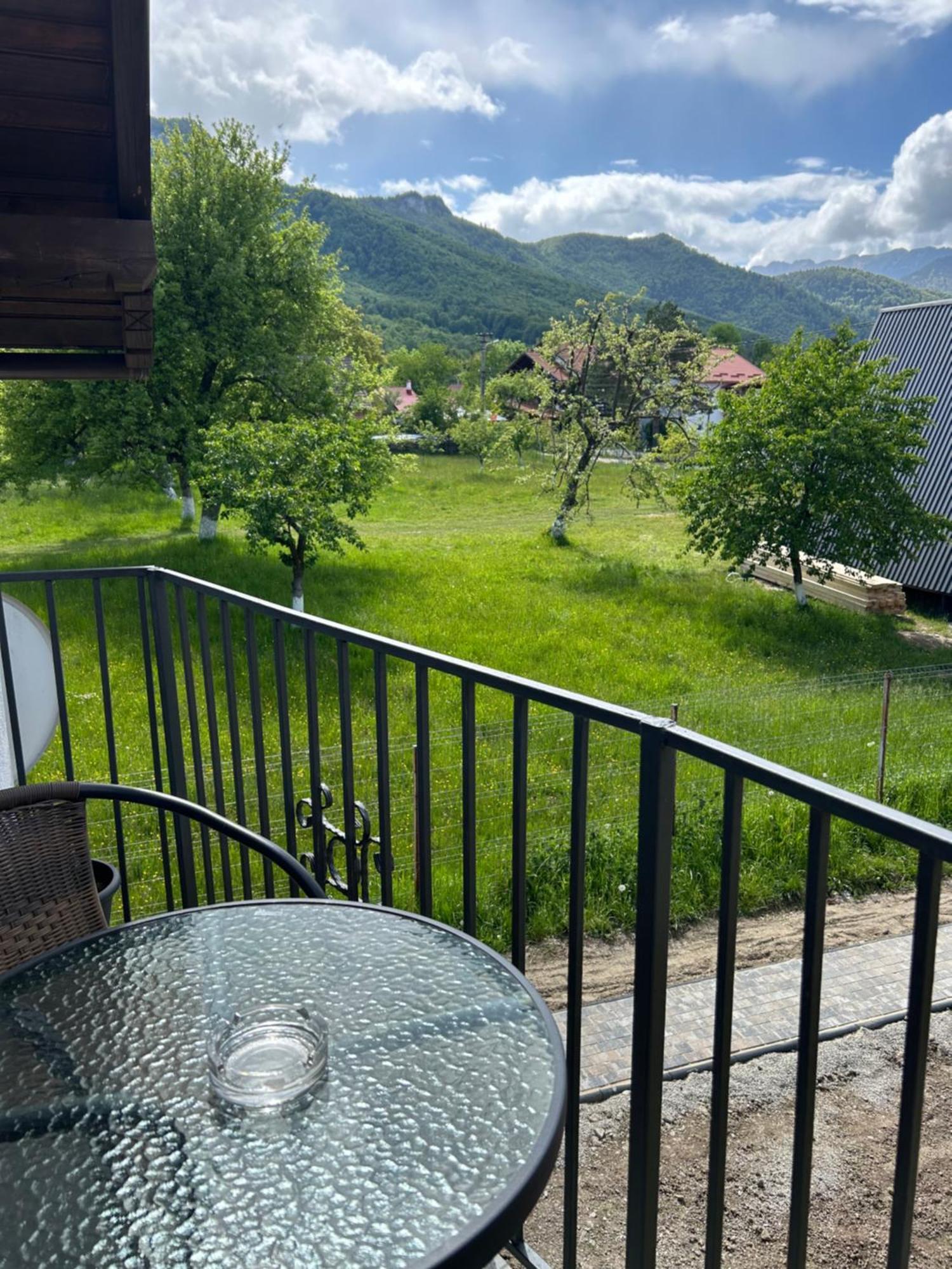 Villa Casa Luca Ama Bran Bran  Exterior foto